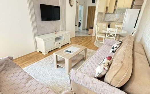 One bedroom apartment for rent, Zagorič, Podgorica