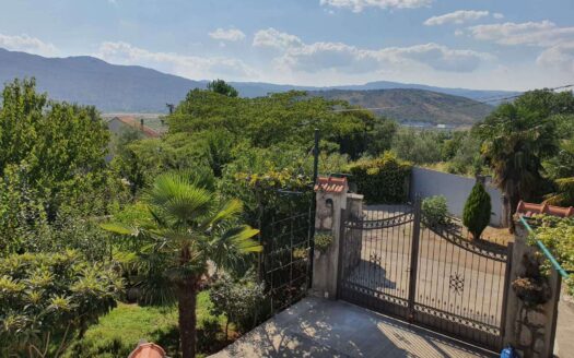 Kuća za izdavanje, Mareza