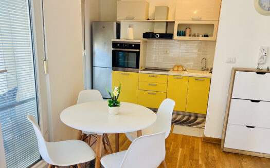 Jednosoban stan za izdavanje, City kvart, Podgorica