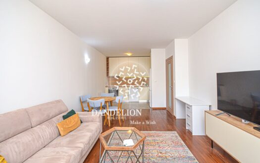 One bedroom apartment for rent, Master kvart, Podgorica