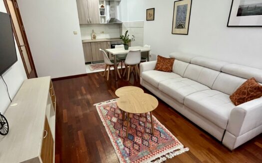 One bedroom apartment for rent, Stari Aerodrom, Podgorica