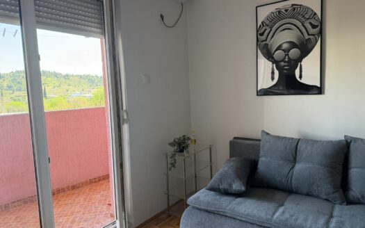Studio apartment for rent, Zabjelo, Podgorica