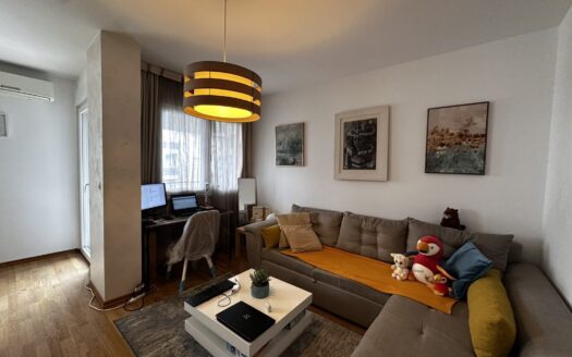 Jednosoban stan za izdavanje, Nova Dalmatinska, Podgorica