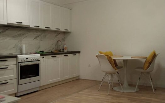 One bedroom apartment for rent, Centar, Podgorica