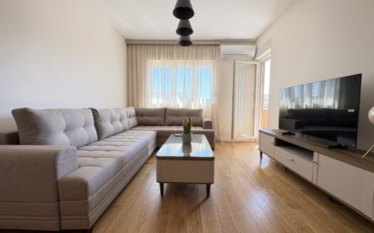 One bedroom apartment for rent, Central Point, Podgorica