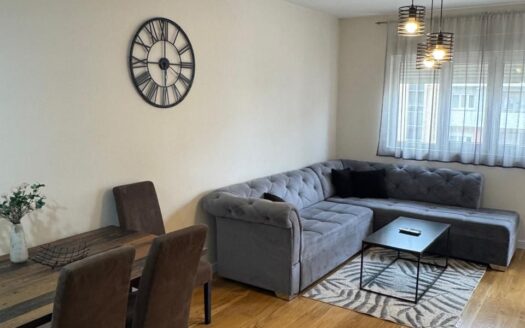 Jednosoban stan za izdavanje, Central Point, Podgorica