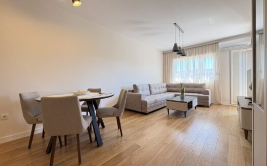 One bedroom apartment for rent, Central Point, Podgorica