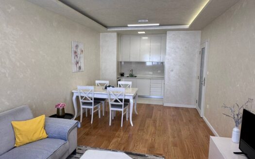 Dvosoban stan za izdavanje, Central Point, Podgorica