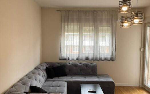 Jednosoban stan za izdavanje, Central Point, Podgorica