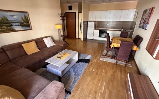 Jednosoban stan za izdavanje, City kvart, Podgorica