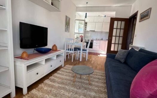 One bedroom apartment for rent, City kvart, Podgorica