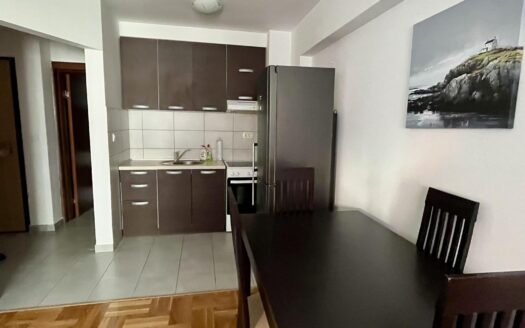 Two bedroom apartment for rent, Iza Delte, Podgorica