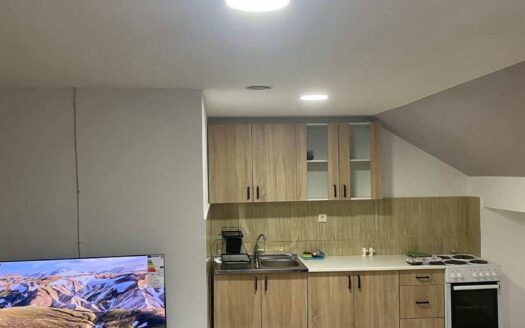 One bedroom apartment for rent, Momišići, Podgorica