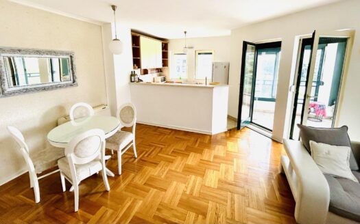 One bedroom apartment for rent, Momišići, Podgorica