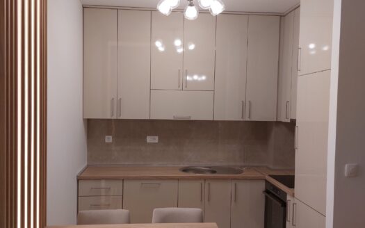One bedroom apartment for rent, New City, Podgorica