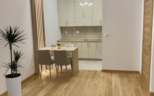 One bedroom apartment for rent, New City, Podgorica