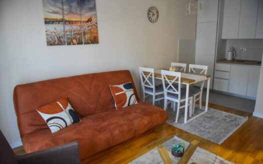 One bedroom apartment for rent, Pobrežje, Podgorica