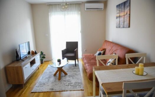 One bedroom apartment for rent, Pobrežje, Podgorica