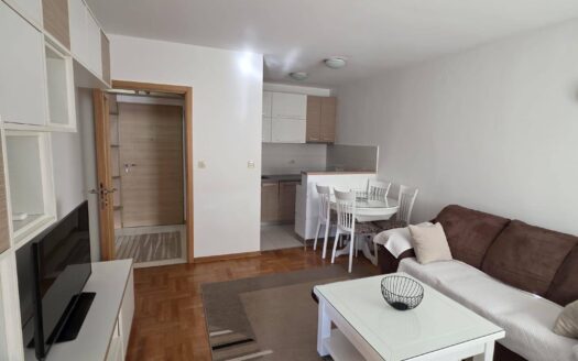 One bedroom apartment for rent, Stari Aerodrom, Podgorica