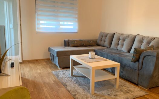 One bedroom apartment for rent, Stari Aerodrom, Podgorica