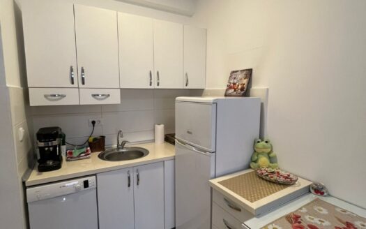 Studio apartment for rent, Tuški put, Podgorica