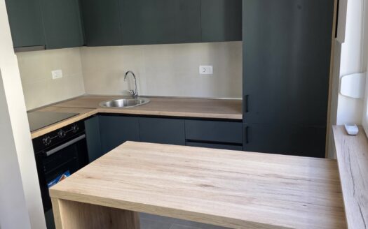 One bedroom apartment for rent, Zabjelo, Podgorica