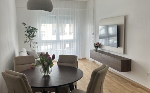 Jednosoban stan za izdavanje, Zabjelo, Podgorica