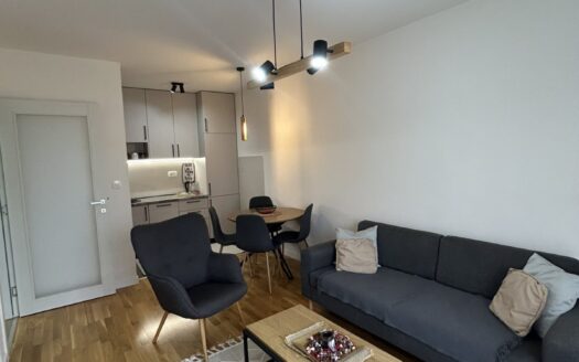 Jednosoban stan za izdavanje, Zabjelo, Podgorica