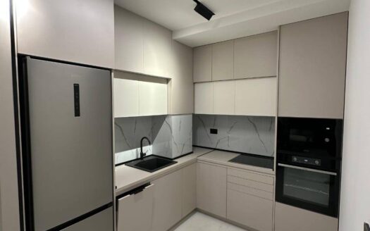 One bedroom apartment for rent, Zagorič, Podgorica