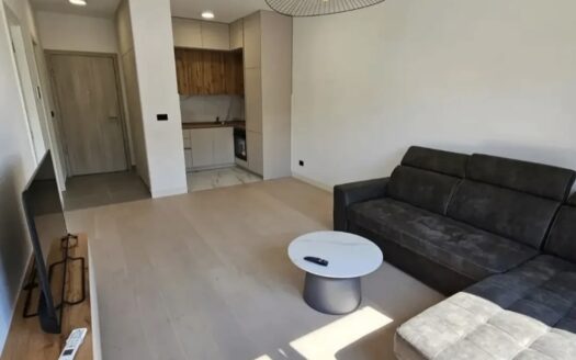 One bedroom apartment for rent, Krivi most, Podgorica