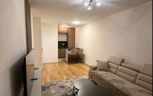 One bedroom apartment for rent, Central Point, Podgorica