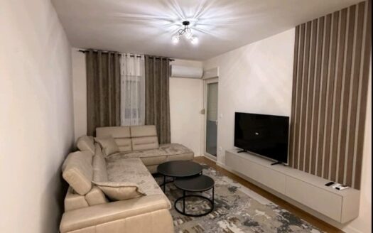 One bedroom apartment for rent, Central Point, Podgorica
