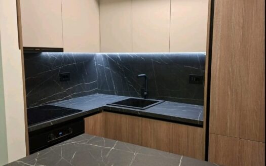 One bedroom apartment for rent, Central Point, Podgorica