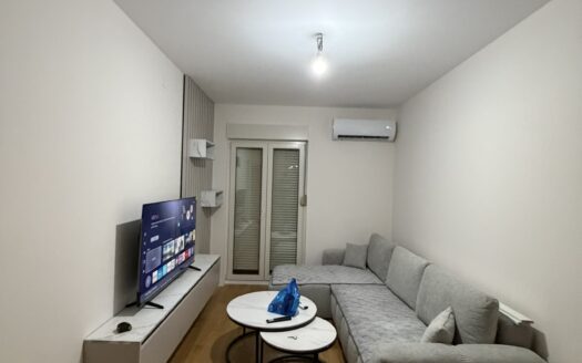 One bedroom apartment for rent, Central Point, Podgorica