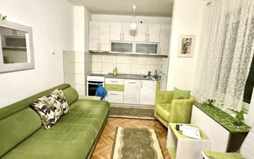 Garsonjera za izdavanje, Blok 9, Podgorica
