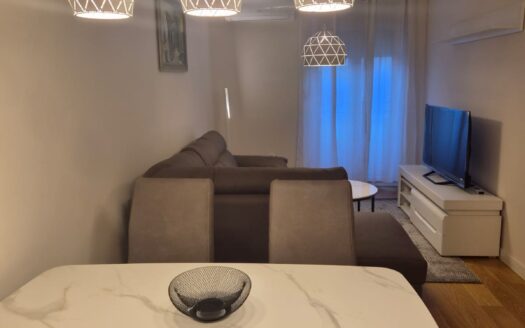 One bedroom apartment for rent, Central Point, Podgorica