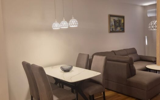 One bedroom apartment for rent, Central Point, Podgorica