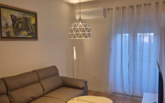 One bedroom apartment for rent, Central Point, Podgorica