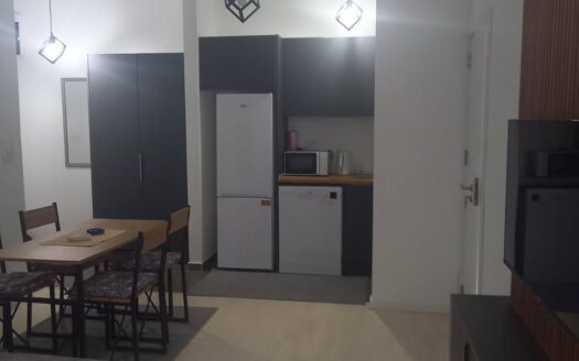 One bedroom apartment for rent, Iza Delte, Podgorica