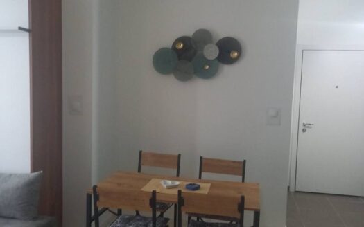 One bedroom apartment for rent, Iza Delte, Podgorica