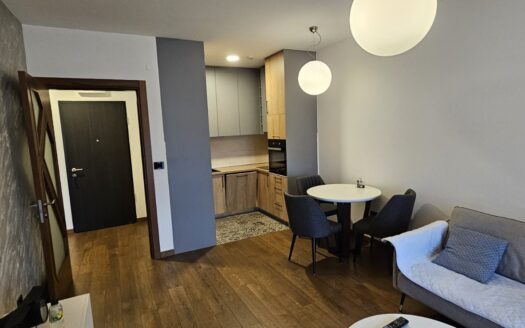 One bedroom apartment for rent, Ljubović, Podgorica