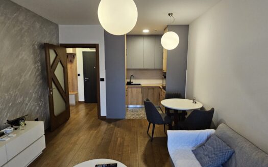 One bedroom apartment for rent, Ljubović, Podgorica