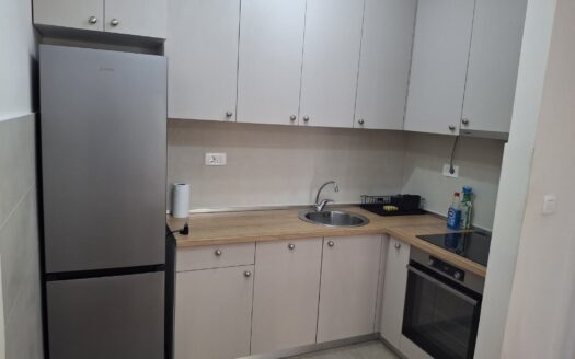One bedroom apartment for rent, Pobrežje, Podgorica