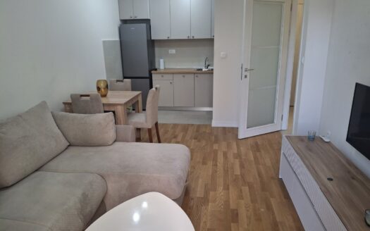One bedroom apartment for rent, Pobrežje, Podgorica
