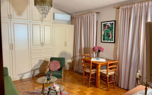 Studio apartment for rent, Preko Morače, Podgorica