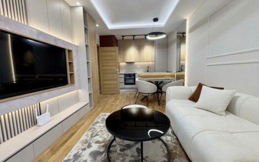 One bedroom apartment for rent, Tološi, Podgorica