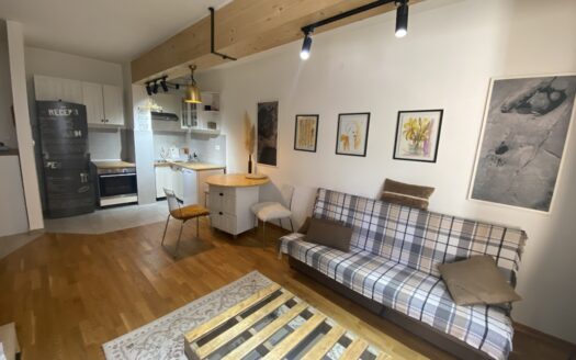 One bedroom apartment for rent, Zabjelo, Podgorica