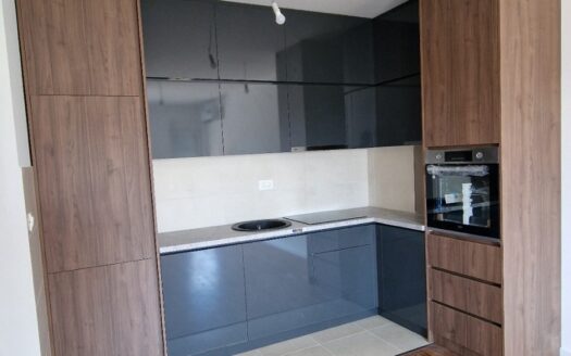 One bedroom apartment for rent, Zabjelo, Podgorica