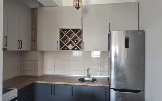 One bedroom apartment for rent, Zabjelo, Podgorica