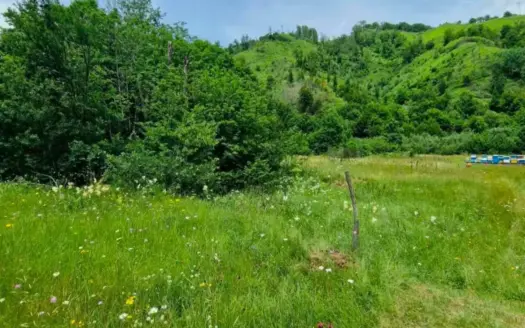 Land for sale, Veruša